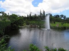 朝食の後、向かったのは東南植物楽園。
名前はよく聞くメジャー施設だが、これまで行ったことがなかった。
沖縄に住む知人に、「1度行ってみるといいんじゃない？」みたいに言われたことから行ってみることに。
とても綺麗な植物園でした。