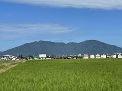 今日も朝から気温が急上昇。早めにホテルを出て、かねてより行ってみたかった「弥彦山」に向かいました。越後平野の海沿いにそびえる名山です。
