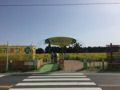 次に向かったのは、菜の花ガーデンです