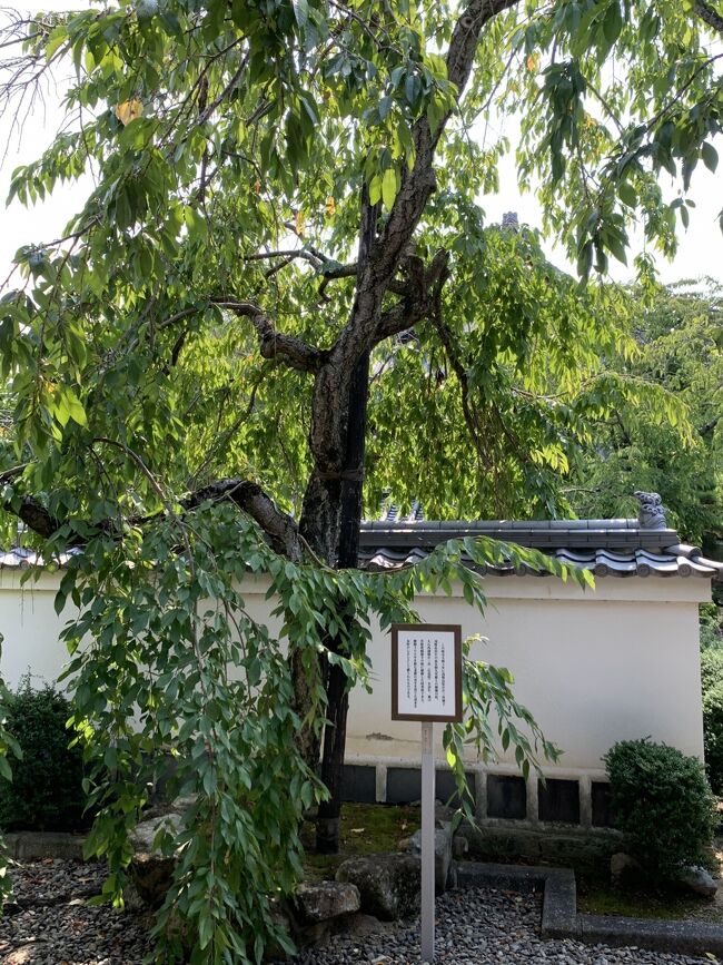 ひょうごさんぽ 赤穂へ① 浅野家と赤穂義士ゆかりのお寺 花岳寺 ひょうごさんぽ 赤穂へ① 浅野家と赤穂義士ゆかりのお寺 花岳寺