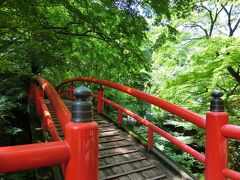 河鹿橋。紅葉の時期に来たことはないけど、モミジは夏もきれい。