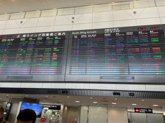 翌日、ピーチの早朝7：20発の便なので
この日は成田空港近くにエアビー利用で宿泊。
成田空港まで送迎あり。
