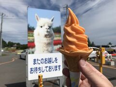 待っている間、今度は夕張メロンソフトを。
アルパカの写真を背景に。
入口近くだったので、来たばかりのお客さんに変な目で見られていました。
この後美瑛神社に向かうのに、タクシーで最寄り駅の美馬牛駅に行って気動車で美瑛駅まで戻り、レンタサイクルで向かうか、来た時の逆でタクシーで美瑛駅に戻りレンタサイクルで向かうか悩むところです。