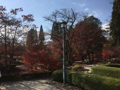 ここから先は、曽木公園の紅葉の景色が続きます・・・