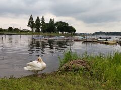 手賀沼公園