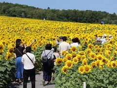 今回訪れたのは
《8月5日》
①ヒマワリの里（北竜町）
②道の駅サンフラワー北竜（北竜町）