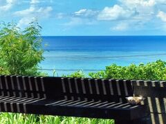 米原にある「カリブカフェ」にてランチ。どのガイドブックにも載っている景色が良いレストラン。川平から12分。8.3キロ、テラス席は喫茶のみ。
店内でパスタランチ1200円を頂いた。