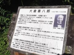 ８時すぎ、椹島から、赤石岳に直登する大倉尾根を登ります
当時88歳の大倉喜八郎が登ったので大倉尾根ですが、個人の大名登山を嫌って「東尾根」と呼ぶ人も