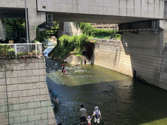 まさか、あの神田川が、川遊びできるまで水質改善しているとは…
驚愕の事実でした。
