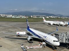 ７月２６日、快晴の伊丹空港です。
１０時発の飛行機を予約しましたが、早起きしたので８時過ぎには空港におりました。はやっ！！

それにしても、いい天気。