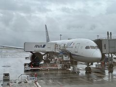 羽田空港に到着。

途中、雨雲を避けたのか、大きく太平洋側へ迂回したので、２５分遅れで到着でした。