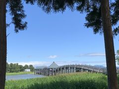 鶴の舞橋。
青森は快晴でめちゃくちゃ綺麗でした。
我が親子は渡る体力は有りませんでしたが...渡った方からは橋越しに岩木山が綺麗に見えたはず。