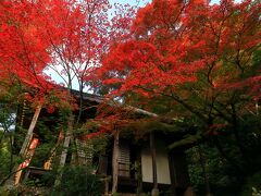 2日目　11月21日　7：40　防府市　阿弥陀寺（あみだじ）

5時半起床、マクドで朝食を済ませた。

文治3年（1187）東大寺の周防別所として建立、西の紫陽花寺。
国宝の鉄宝塔を有する。


拝観料　無料
駐車場　無料