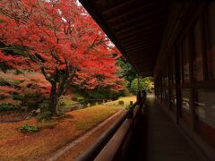 12：20　宇部市　宗隣寺（そうりんじ）庭園

山口県最古の池泉式庭園の龍心庭の紅葉が見頃終盤。
国の名勝庭園。


拝観料　300円
駐車場　無料