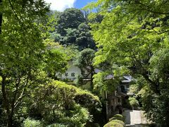 境内の松菊館に予約しておいた、精進料理の昼食です。