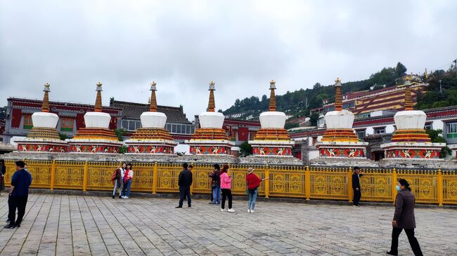 専用ページ ★青海省タール寺入手 金剛天珠 ☆青海省タール寺入手 金剛天珠