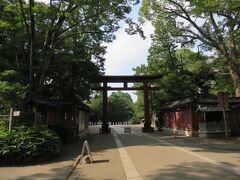 氷川神社に到着しました