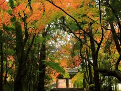 9：50　下関市　功山寺（こうざんじ）

総門は室町時代建築、国の有形登録文化財。


拝観料　無料