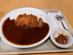 19：00　山陽道/小谷SA

夕飯はSAにて。


カツカレー　850円ぐらい

あー楽しかった。