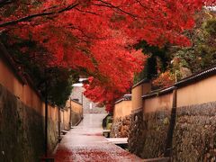 7：30　下関市　古江小路（ふるえしょうじ）

長府の城下町。
防御も兼ねた石壁が連なる。


歴史博物館前パーキング利用