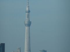 天気良く、スカイツリーもくっきり。