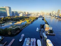 浜離宮も見えます