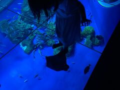 さて、日付変わって三日目の午後。
DMMかりゆし水族館　
https://kariyushi-aquarium.com/access/　に行きました。

なかなかの値段なので正直、どんなものかと思っていましたが、これはいい！
美ら海も良いですが南部から行くとなるとかなりの時間ロスになりますから今後はここで良いかな～と思っています

こちらの水族館は体験型のものが多く、写真は水槽の上を歩けるお部屋でした。
なかなかスリルがありました。
スカートだったので下の階からはどうやって見えているのだろうかと思っていましたがマジックミラーになっており、お魚さん達からも下の階の人からも特に見えませんでしたw （気にする年頃でもないですがお見苦しいのでね）

こちらはイーアス沖縄豊崎に入っています
https://toyosaki.iias.jp
