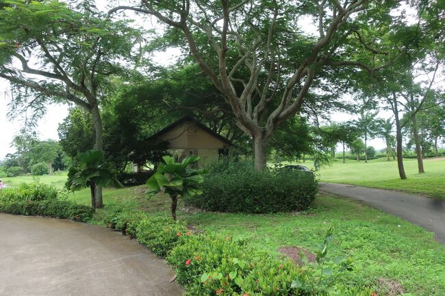 ◇Rayong Grenn Valley Country Club<br />ウイザーズスプーンズ<br />ミニバス送迎費350バーツ、競技なし。<br /><br /><br /><br />