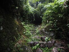 途中、ジャングル気味です。
雨が降っているので暗いですし、余計に・・・。