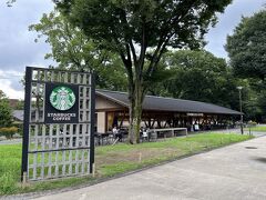 美術館滞在は１時間ほどでしたが、動物園でも歩き回った後ｎなので、さすがに疲れました。
園内のスタバで休憩します。このような施設が公園にあるのは、非常にありがたいです。