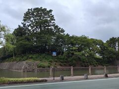 静岡市に移動。
駿府城へ。
とっても大きなお堀です。