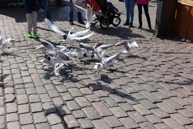 マーケット広場をブラブラ