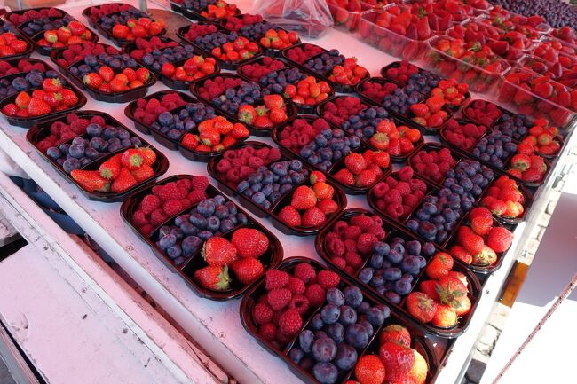 いろいろなベリーがたくさん売られていました