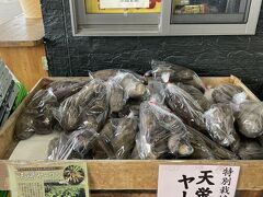 帰りに道の駅で地元の和菓子と名産品のヤーコンをお土産に購入して帰りました。
お店の方に生食がおすすめと聞いて、生で食べたヤーコンは梨みたいでした♪
ふらっと福島、のんびりできました～