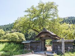 白山平泉神社に向かって車を走らせていると、一乗谷朝倉氏の遺跡を発見。嬉しい予定外の立ち寄りです