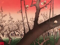 清澄白河10　深川江戸資料館e　　　　37/　　　11