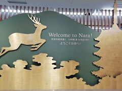 約１時間揺られて奈良に来ました！
鹿と法隆寺が！