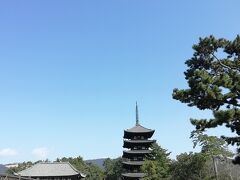 五重塔です。
興福寺の五重塔は高さ50ｍあるそうです。