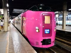 ☆ Hokkaido★

翌朝、特急「宗谷」で稚内を目指す。
ピンクが鮮やかな「はまなす」編成でした。