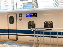 清水エリアの観光を楽しんだ後は、東京に移動します。　静岡駅から、こだま号に乗車。　次のひかり号を待つよりも、こだまに乗っちゃった方が東京駅にも早く着くっぽかったので。