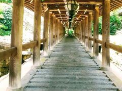 電車を乗り継いで、奈良の長谷寺へ。近鉄長谷寺駅に11：00頃到着して徒歩15～20分くらいでしょうか。時間で聞くとたいしたことはありませんが、駅からなが～い階段（行きは下り。帰りが怖い）が続き、太陽は真上で日陰がほとんどなく、酷暑の中、辛い道行きに…。長谷寺に着いたときはホッとしました。お寺の中に入ってしまえば、長い登廊には爽やかな風が吹き抜け、風鈴の音がまた涼を誘います。