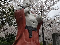 浄心寺 桜の布袋尊(文京区)