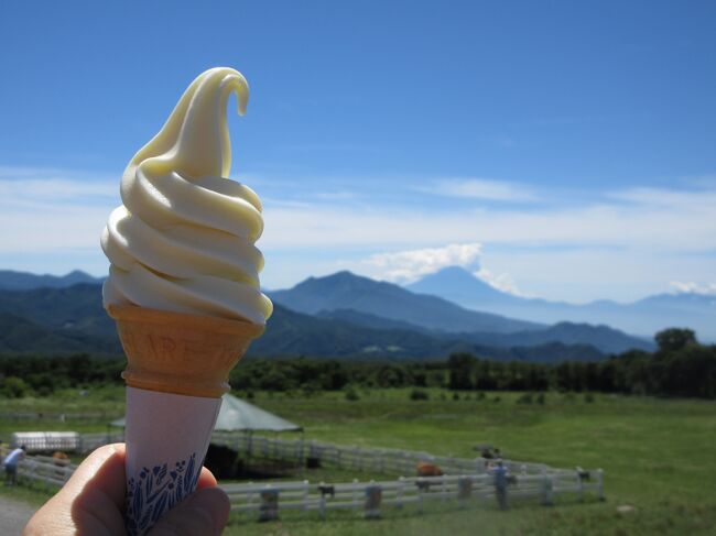 緑のトンネルをくぐってランチを食べに清泉寮まで 22 夏 清里 八ヶ岳 山梨県 の旅行記 ブログ By 薔薇の咲く庭さん フォートラベル