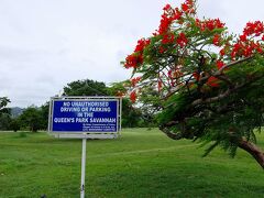 クイーンズ・パーク・サバンナ にある駐車禁止の立て札
(No Unauthorised Driving or Parking in the Queen's Park Savannah)