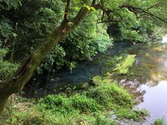 川底から水が湧き出ています。
