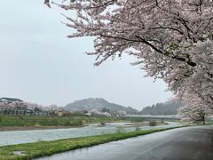 秋田から角館にやってきました。