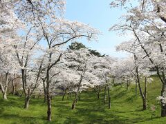 続いて、いよいよ松島町の西行戻しの松公園へ。