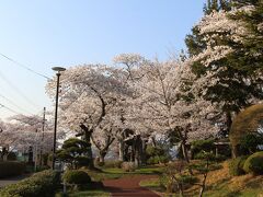 最後向かったのは、石巻の日和山公園。
