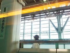 「新青森駅」に到着☆
ここからはJR東日本からJR北海道の管轄になります。

途中、大雨で地盤が緩んでいたのか、「奥津軽いまべつ駅」の前後で徐行をしたので4分ほど遅れました。