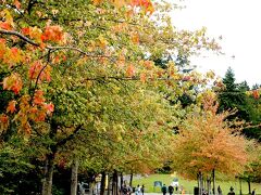 バンクーバーに着いて市内観光を開始します。バンクーバーのスタンレーパークへ向かいます。9月中旬は丁度紅葉が始まる季節です。